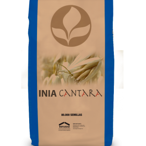 INIA Cantara