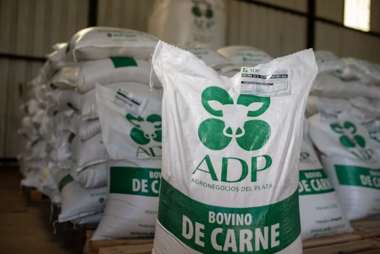 ADP – Agronegocios del Plata brinda solución en raciones para el sector ganadero