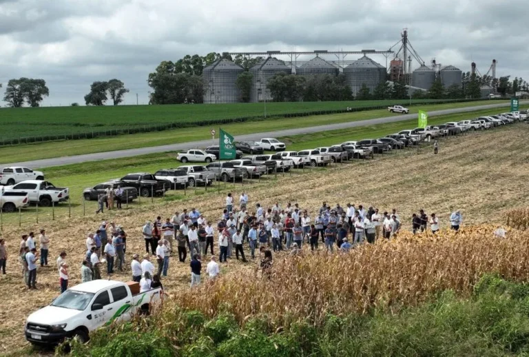 Agronegocios del Plata presentó dos nuevas variedades para los cultivos de soja.